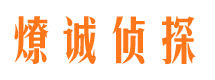 晋州市调查公司